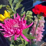 家族葬で供花を送る際のマナーやお返し、供花の種類について解説