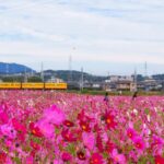 【東員町の葬儀社】サポートが充実しているところは？費用相場もチェック